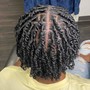 Natural Twists