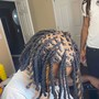 Starter locs