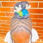 Kid's Braids