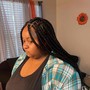 Box Braids (medium mid back