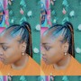 5 Feeds in braids /Cash Only