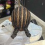 Comb Twist ( starter locs)