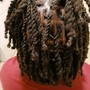 Two Strand Starter Locs