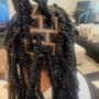 Starter Locs