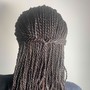 Individual Braids