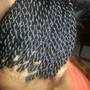 Single braids ankle length