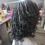 Large Passion Twists mid back