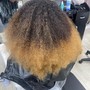 Root Touch Up