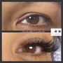 Eyelash Tint (Hybrid Henna)