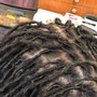 Starter locs