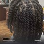 Loc retwist