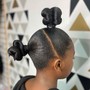 Sleek Ponytail