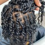 Two-Strand Starter Locs