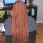 Straight back feed in Stitch Braids (8-10)