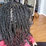 Straight back feed in Stitch Braids (8-10)