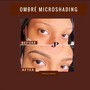 Ombre Microshading Brows