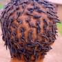 Tree Braids