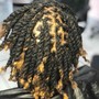 Starter Locs