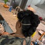 Wedding updo