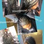 **Medium** Box Braids