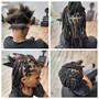 Starter Dreadlocks