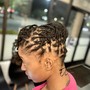 2-4 Feed in Braids