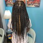 Medium size Box Braids