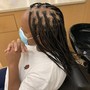 Feed in Straight back braids