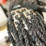 Takedown Singles/Box Braids