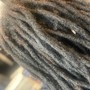 Starter Coil Locs (medium)