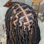 Passion Locs