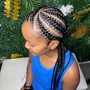 Feed in /Stitch Braids