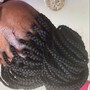 Root Touch Up