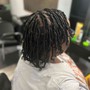 2 SLICK FEED IN BRAIDS