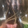 Root Touch Up