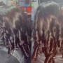 Senegalese Twist