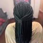 Knotless Braids Medium