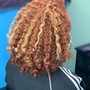 Root Touch Up