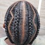 Small Braided Ponytail