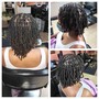 Natural Twists