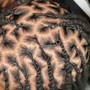 Natural hair Twists (double strands)