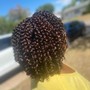 Large Passion twist bob length