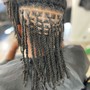 Loc Retwist (ONLY  CROWN OF HAIR)