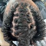 Comb Twist