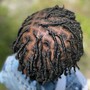 Starter Dreadlocks