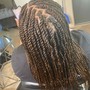 Medium Senegalese Twist(Hair Provided)