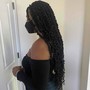 Havana Twists