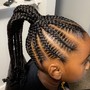 Kid's Braided Ponytail