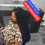 Crochet Braids/twist