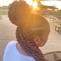 Ponytail Braids/Feed in Cornrows